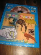 OPPDAG VERDENS DYR: IS OG ØRKEN. . Bok og DVD. 12 klistremerker, 6 farveblyanter, blyantspisser og fargebok. DVD undervisningsfilm. Meget bra tillaga. 