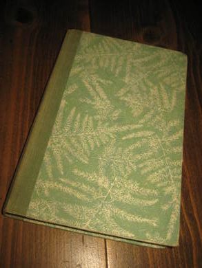 WALDEN: FALKEVENG 19065