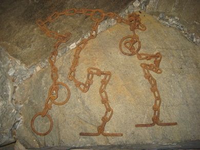 Festeredskap for dyr i bås? Tidelg 1900