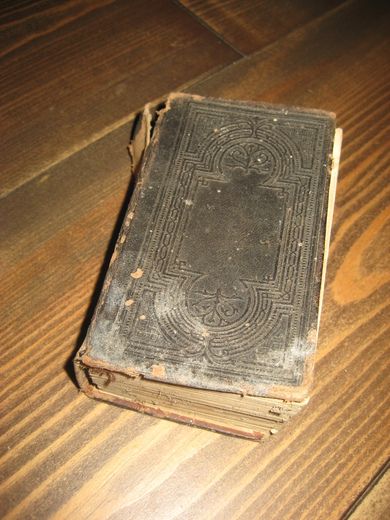 Harbøe / Guldberg: Psalmebog eller en Samling af gamle og nye Psalmer, til Guds Ære og hans Menigheds Opbyggelse. 1877.