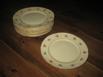 Meget pene middagstallerkener 12 stk selges under ett Ca 23 cm i diameter