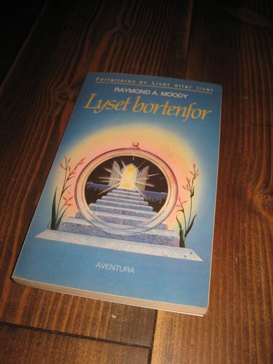 MOODY: LYSET BORTENFOR 1988