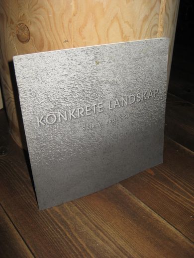 BRUNGOT GEIR: KONKRETE LANDSKAP 1997