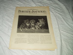 1894,nr 026, Illustrert Familie Journal.