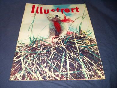 1954 nr 031 Illustrert