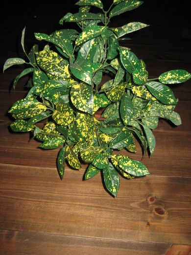 Plast blomster fra 60-70 tallet.