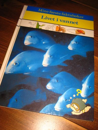 LIVET I VANNET 1995