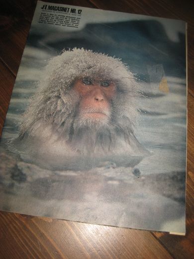 1970 nr 012 A magasinet