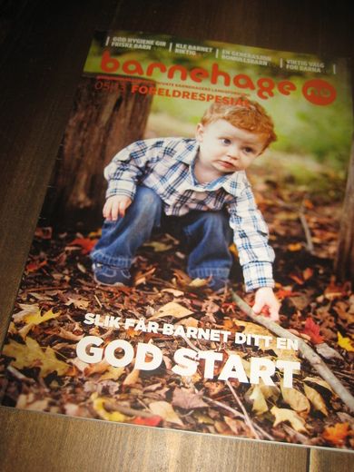 2013 NR 005 barnehage