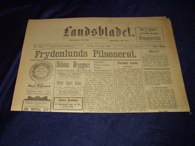 1895 nr 133 Landsbladet