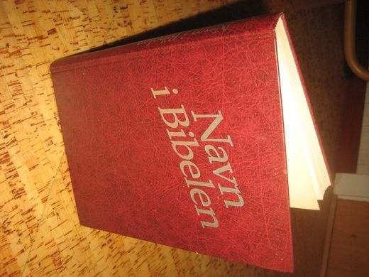 Johnstad: NAVN I BIBELEN. 1992.
