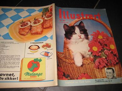 1961 nr 047 Illustrert