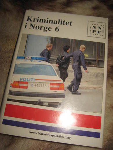 Kriminalitet i Norge 6