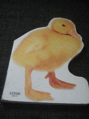 ANDUNGER. Litor 29575, 2002