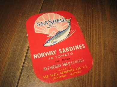 SEA SHELL rød