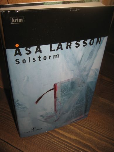 LARSSON ÅSA: Solstorm 2004