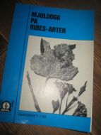 1983,nr 007, KJØLDOGG PÅ RIBES ARTENE.
