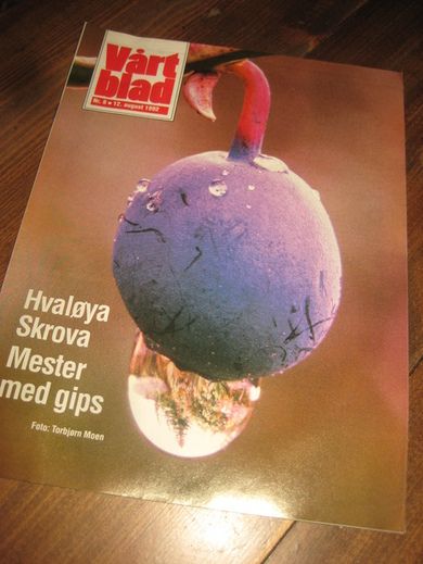 1992 NR 008 Vårt blad