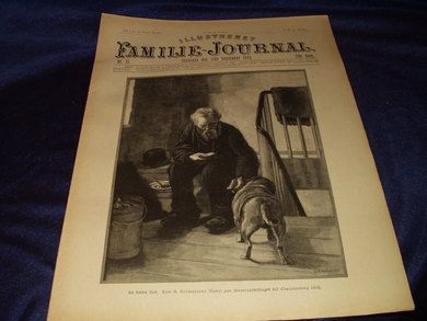 1893 nr 037 Illustrert Familie - Journal
