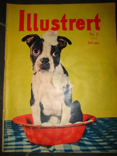 1957 nr 002 Illustrert