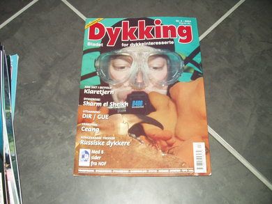 2004 nr 004 Dykking
