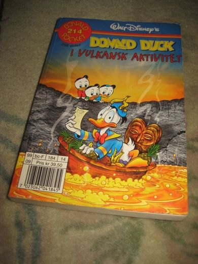 1999 NR 214 I VULKANSK AKTIVITET