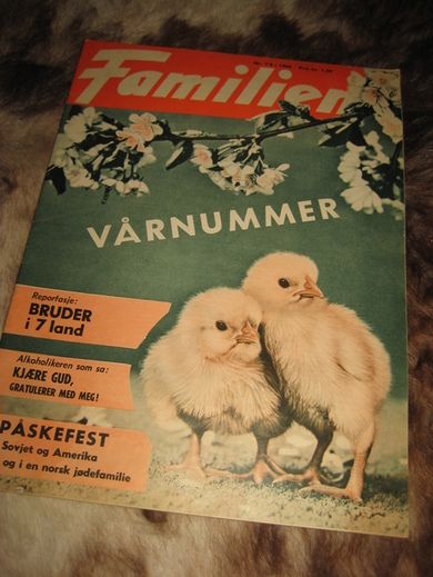 1960 nr 007 -8 FAMILIEN