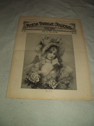 1904 nr 030 NORSK FAMILIE JOURNAL
