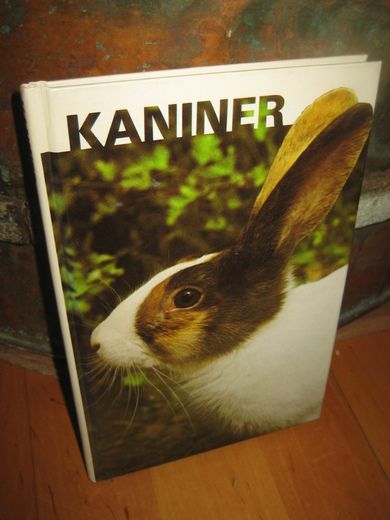 KANINER 1981