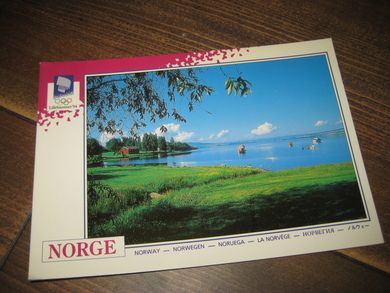 072 LOOC 1992 Mjøsa fra Hamar