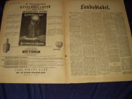 1893,nr 004, Landsbladet