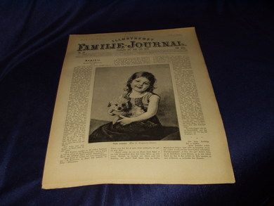 1893 nr 029 Illustrert Familie - Journal