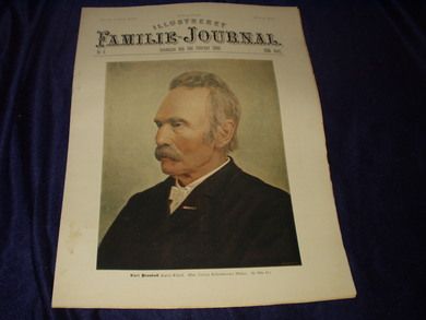 1896 nr 006 Illustreret Familie Journal