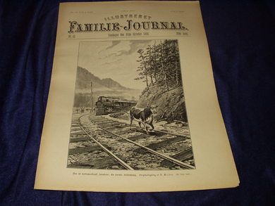1896 nr 043 Illustreret Familie Journal