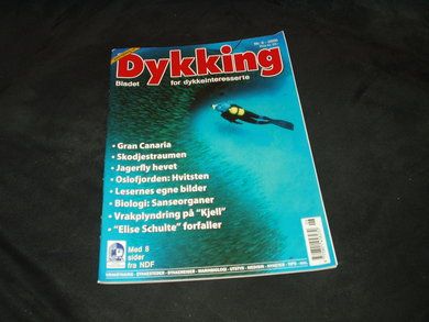 2006 nr 006 Dykking