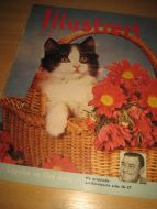 1961 nr 047 Illustrert CLARK GABLE