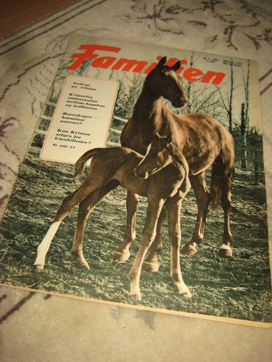 1966 nr 009 FAMILIEN