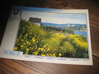 076 LOOC 1992 Lillehammer OL- byen