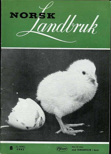 1962 nr 008 Norsk Landbruk