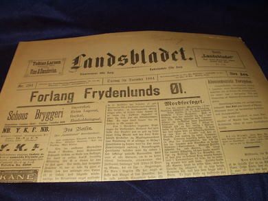 1894 nr 284 Landsbladet