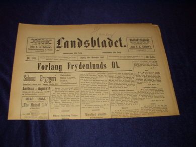 1893 nr 265 Landsbladet