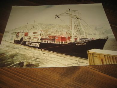 Bilde av HORNELEN Ca 35*26 cm stort Pent i glass og ramme