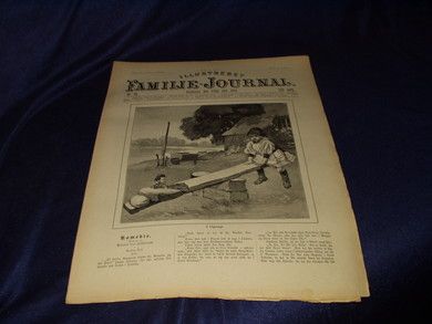 1893 nr 030 Illustrert Familie - Journal