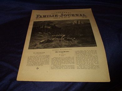 1895 nr 012 Illustrert Familie - Journal