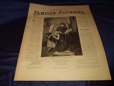 1895 nr 049 Illustrert Familie - Journal