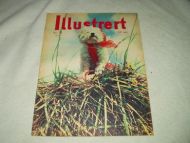 1954 nr 031 Illustrert