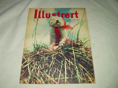 1954 nr 031 Illustrert