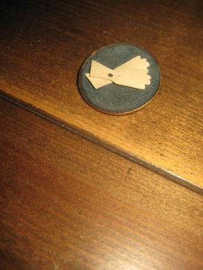 Jakkenål fra eldre dager sløyfe