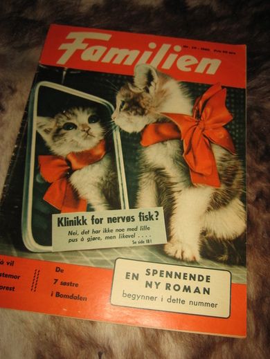1960 nr 020 FAMILIEN