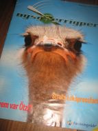 2011 NR 004 nysgjerrigper